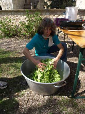 Préparation de la salade — Et on met la main à la salade comme on dit !